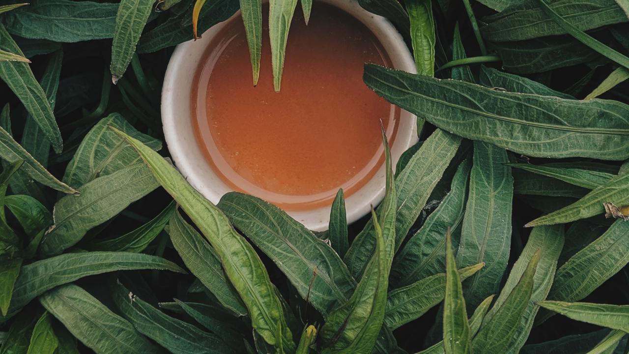 Air Rebusan Daun Sirsak