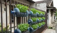 8 Ide Galon Bekas Jadi Pot Kangkung Gantung di Pagar Rumah, Solusi Kebun Mini Hemat Tempat