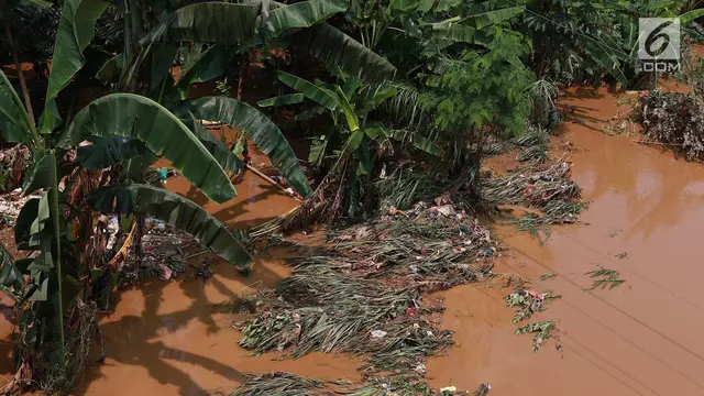 Penampakan Sungai Ciliwung yang Meluap di Pejaten Timur