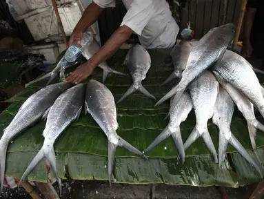 Pedagang menyirami ikan bandeng dagangnnya di kawasan Rawa Belong, Jakarta, Rabu (14/2). Pedagang mengaku permintaan ikan bandeng meningkat jelang Tahun Baru Imlek. (Liputan6.com/Arya Manggala)