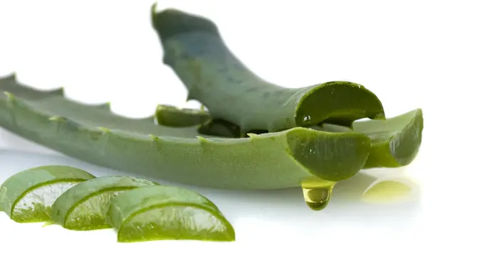 [Bintang] 5 Manfaat Lidah Buaya untuk Kesehatan