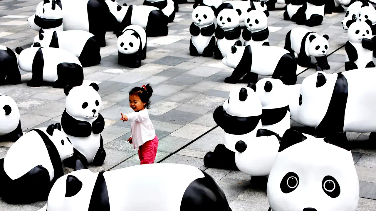15 Benda Lucu yang Wajib Dimiliki oleh Pecinta Panda
