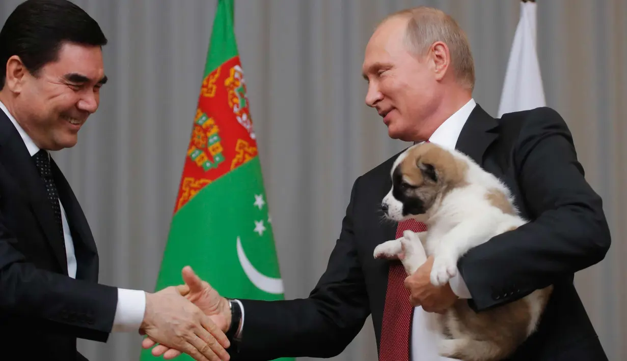 Presiden Turkmenistan Gurbanguly Berdimuhamedov berjabat tangan Presiden Rusia, Vladimir Putin setelah memberikan seekor anjing gembala Turkmen atau dikenal sebagai Alabai saat pertemuan di Sochi, Rusia (11/10). (AFP Photo/Pool/Maxim Shemetov)