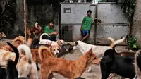 Kisah Purbalingga Bebas Peredaran Daging Anjing
