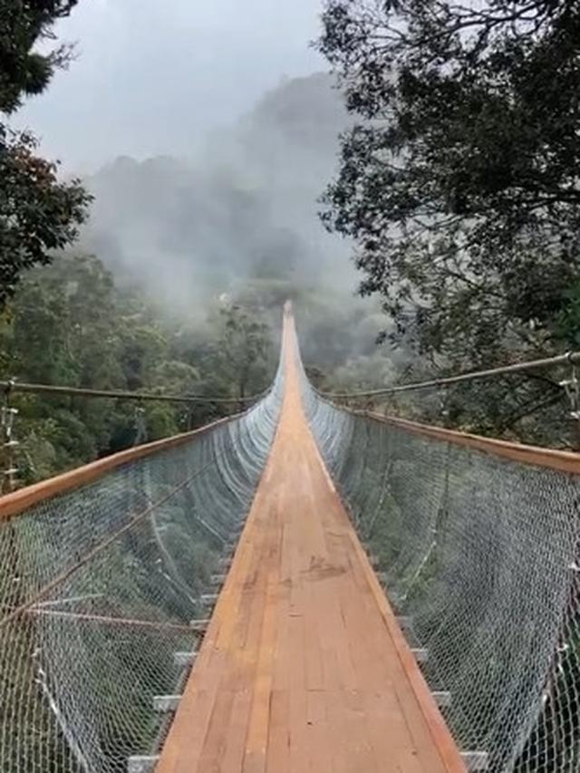 Jembatang Gantung Rengganis, Destinasi Wisata Baru di Rancabali