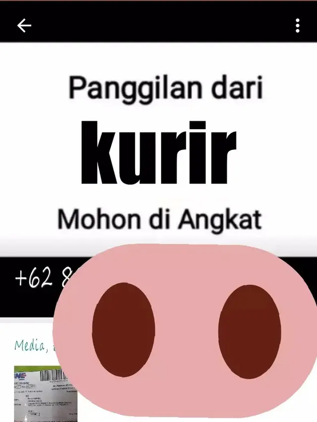 6 Foto Profil WhatsApp Kurir Paket Berupa Peringatan Ini Bikin Salah Fokus