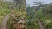 Jalan ekstrem di hutan Bromo (TikTok/@mbak_masda)