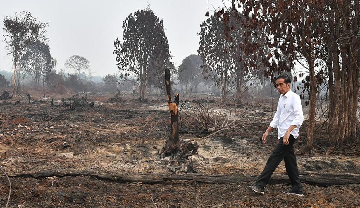 Presiden Joko Widodo atau Jokowi memeriksa kerusakan akibat kebakaran hutan dan lahan (karhutla) di Pekanbaru, Riau, Selasa (17/9/2019). Tanpa mengenakan masker, Jokowi turun langsung ke lahan gambut yang sudah habis terbakar. (Handout/Indonesian Presidential Palace/AFP)