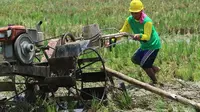 Pembangunan Pertanian, Bantu Atasi Kemiskinan Masyarakat di Sukabumi