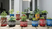 Cara Membuat Kebun Rumah Low Budget dengan Barang Bekas, Mudah dan Hemat