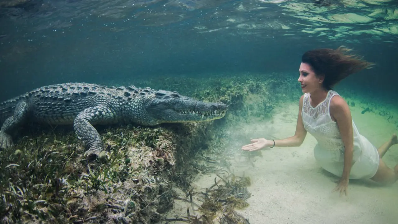 Mendebarkan, Model Cantik Foto Bareng Buaya di Bawah Air