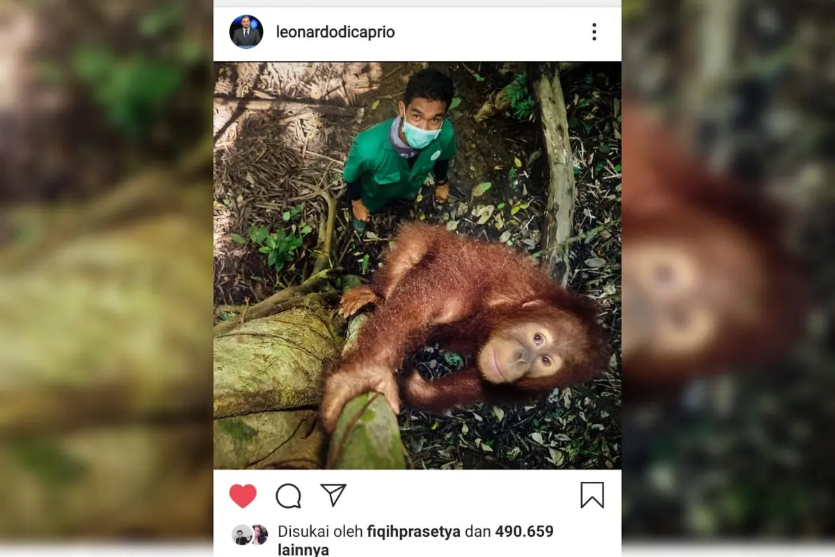 Postingan LeonardoDicaprio di Instagram