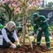 Tekan Polusi, Jaksel Gencarkan Penghijauan