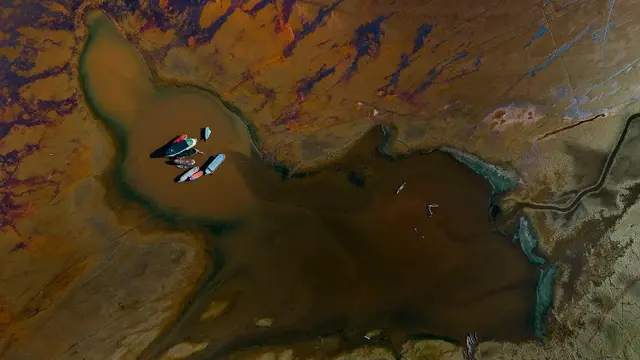 Alami Kekeringan Parah, Begini Penampakan Danau Aleixo di Amazonas Brasil