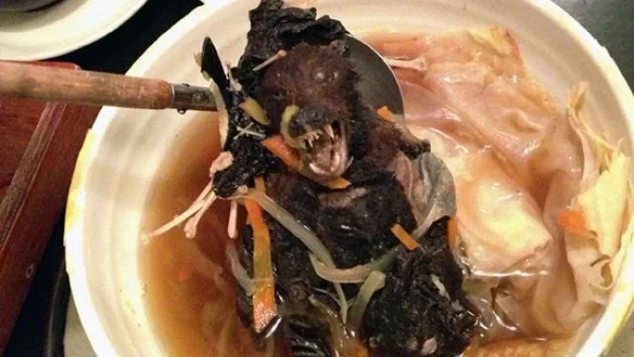 Meski Beracun dan Berbahaya, 7 Makanan Ini Tetap Digemari