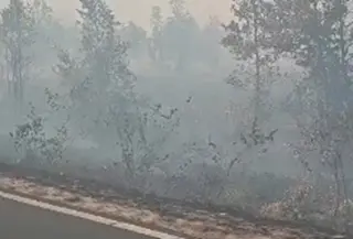 Gambaran kebakaran hutan yang terjadi di Kalimantan Asap yang ditimbulkan sudah di taraf mengganggu masyarakat. (Liputan6.com/ Sarasi)