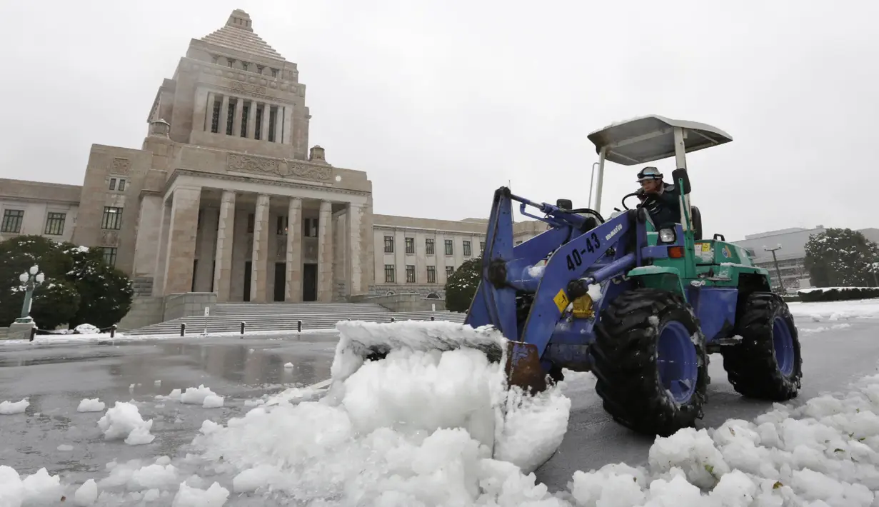 Seorang pria menggunakan alat berat untuk membersihkan salju di halaman Gedung Diet di Tokyo, Jepang, Senin (18/1). Akibat banyaknya tumpukan salju yang menyelimuti daerah metropolitan Tokyo, moda transportasi massa pun lumpuh. (AFP/JIJI Press Japan Out)