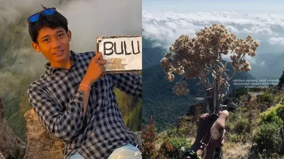 Nekat Petik Bunga Edelweis, Pendaki Gunung Lompobattang Kena Blacklist 10 Tahun