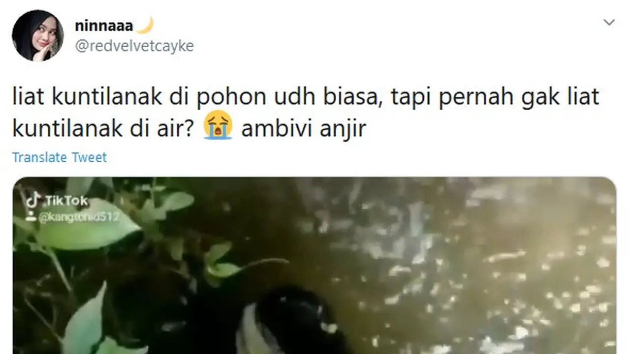 penampakan mahluk aneh di air