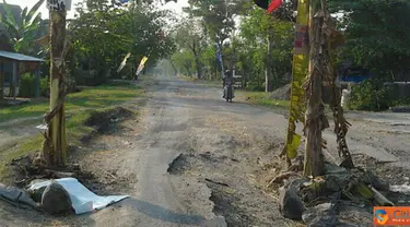 Citizen6, Ngawi: Jalan raya yang sudah beralih fungsi menjadi kebun pisang ini karena kurangnya perhatian dari Pemerintah Daerah Kabupaten Ngawi, Desa Kartoharjo. (Pengirim: Adi Pamungkas)