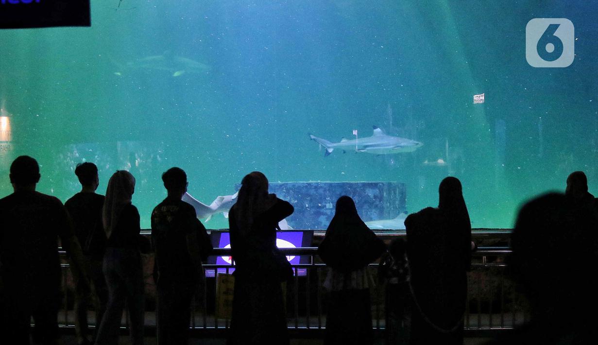 Wisatawan melihat ikan di tempat wisata kawasan Ancol, Jakarta, Minggu (8/1/2023). Saat ini kinerja sektor pariwisata dan ekonomi kreatif pada 2023 dihadapkan dengan target yang cukup tinggi. Kunjungan wisman diharapkan mencapai angka 7,4 juta dan wisatawan nusantara mencapai 1,2-1,4 miliar pergerakan. (Liputan6.com/Angga Yuniar)