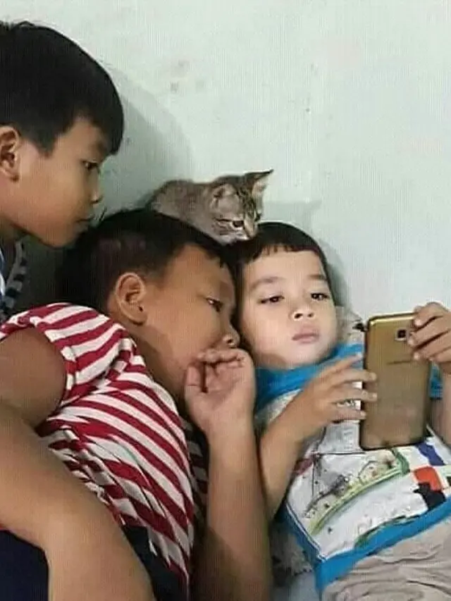 6 Tingkah Absurd Bocah Bareng Kucing Ini Bikin Tepuk Jidat
