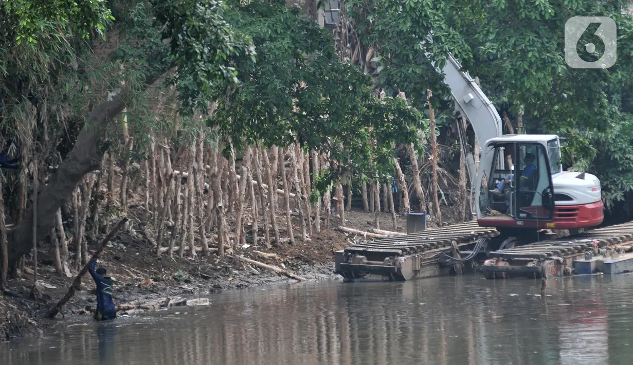 Petugas Suku Dinas Sumber Daya Air Jakarta Selatan menyelesaikan pembangunan tanggul di bantaran Sungai Ciliwung, Rawajati, Pancoran, Jakarta, Senin (11/11/2019). Tanggul tersebut diharapkan bisa membentengi permukiman warga dari luapan Sungai Ciliwung saat musim hujan. (merdeka.com/Iqbal Nugroho)
