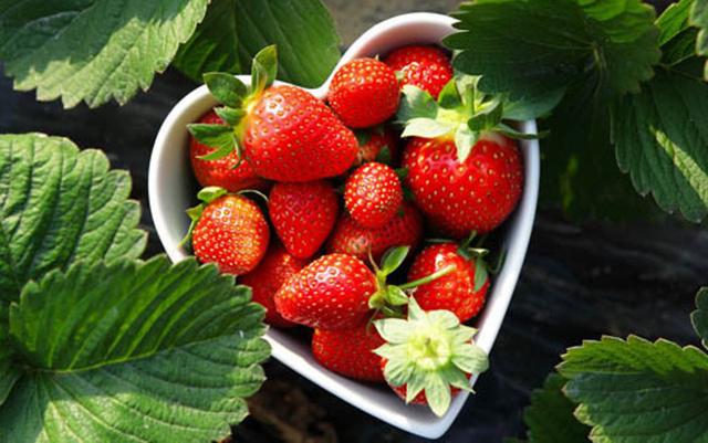 Buah strawberry untuk mengatasi ketombe | Photo: Copyright Thinkstockphotos.com