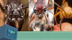 (Liputan6.com)