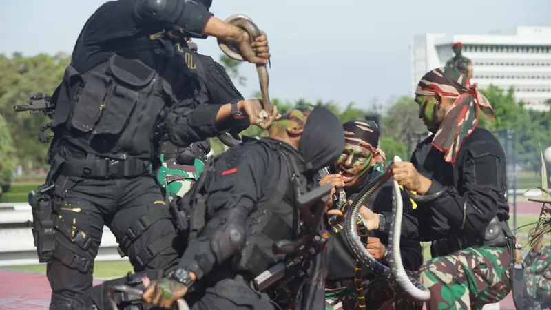 Aksi Kopassus minum darah ular saat parade perpisahan melepas kepergian Menhan AS Jim Mattis ke Vietnam di Jakarta (24/1/2018) (Sumber: Handout via Newsweek)