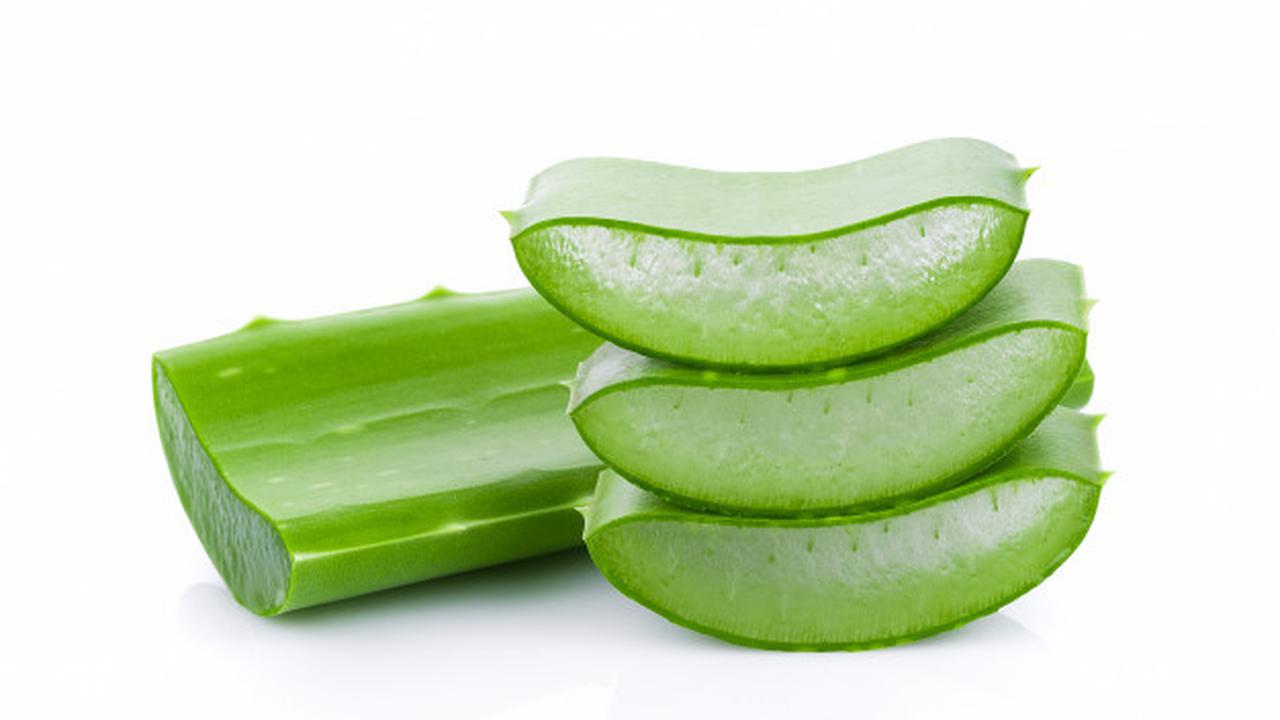 4 Tips Ampuh Atasi Ketombe dan Kutu Rambut yang Mengganggu - Chirpstory