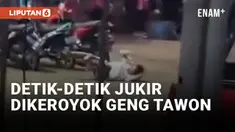 Apes! Tukang Parkir di Danau Jambore Diserang Sekelompok Tawon