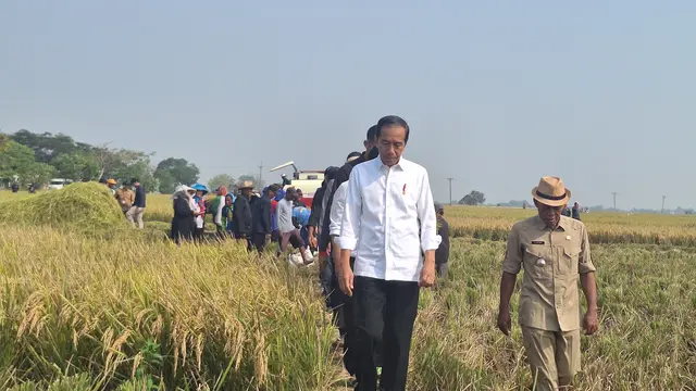 Presiden Joko Widodo atau Jokowi saat kunjungan kerja di Kabupaten Subang Jawa Barat, Minggu (8/10/2023).