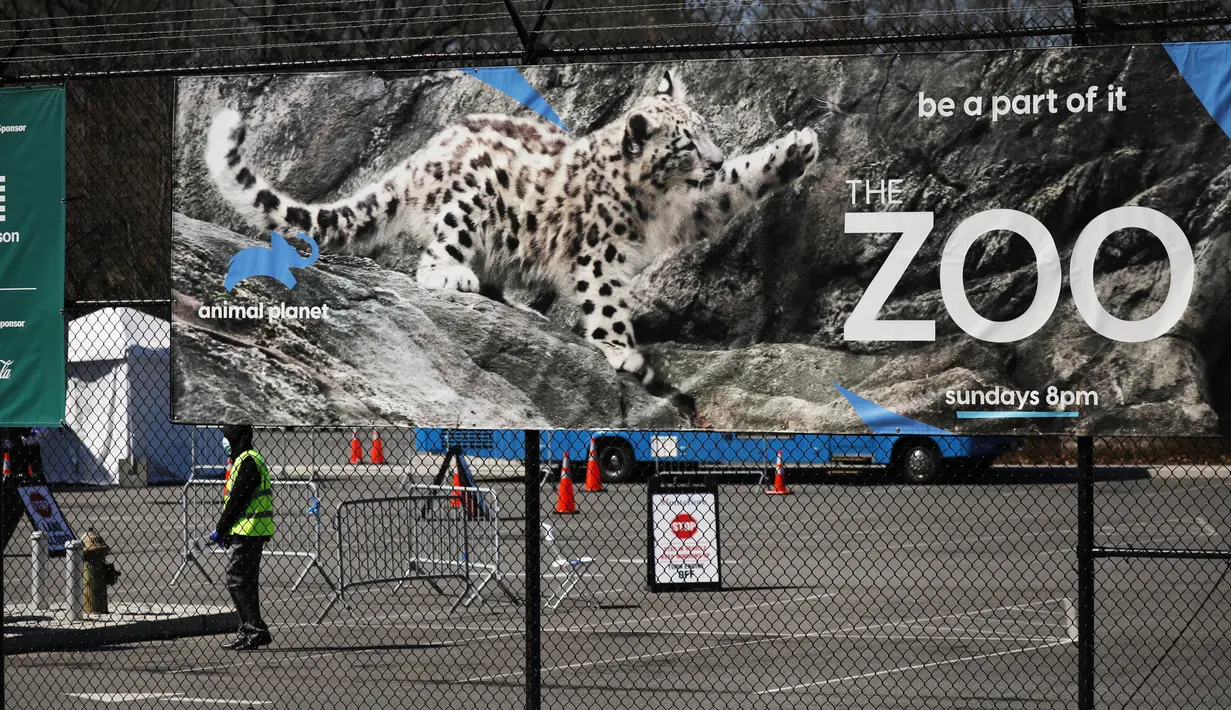 Sebuah poster terpampang di pagar Kebun Binatang Bronx, New York City, Amerika Serikat, Senin (6/4/2020). Wildlife Conservation Society menyatakan seekor harimau Malaya di Kebun Binatang Bronx positif terinfeksi virus corona COVID-19. (Spencer Platt/Getty Images/AFP)