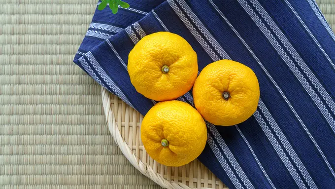 Kenalan Sama Uniknya Buah Yuzu, Superfruit Yang Memiliki Vitamin C 3x Lebih Banyak Dari Buah Lemon Lainnya