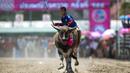Seorang joki sedang berlomba dalam festival balap kerbau Chonburi, di Provinsi Chonburi, Thailand, (26/10/2015). (Reuters/Athit Perawongmetha)