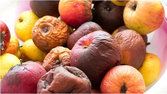 Courtesy ShutterStock.com