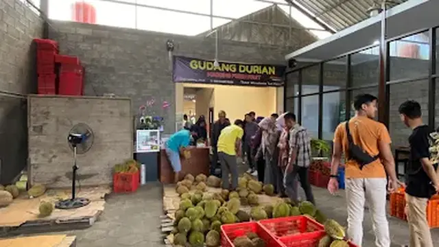 Gudang Durian