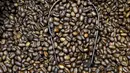 Amerika Serikat menjadi pasar utama kopi Indonesia, mengalahkan negara-negara lain seperti Mesir dan Malaysia. (CHAIDEER MAHYUDDIN/AFP)