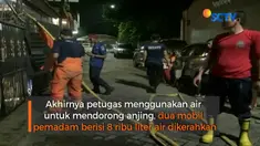 Seekor anjing liar yangterjebak di gorong-Perumahan Palem Lestari, Cengkareng, Jakarta Barat berhasil dievakuasi petugas pemandam kebakaran.