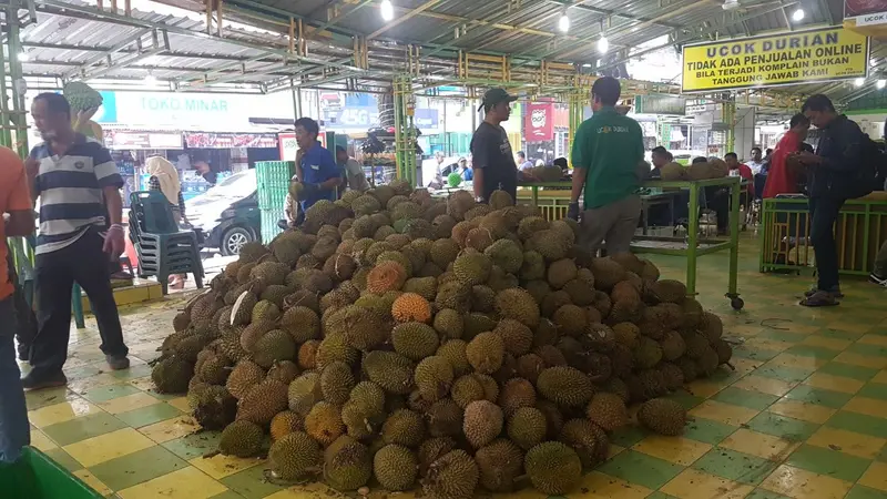 Durian Ucok