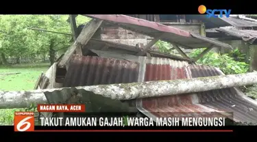 Serangan hewan liar ke permukiman penduduk terjadi di Kabupaten Nagan Raya, Aceh. Untuk ke sekian kalinya, gajah liar merusak lahan dan rumah warga.