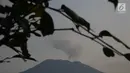 Hembusan asap putih dari kawah Gunung Agung terlihat dari Karangasem, Bali, Rabu (6/12). Pusat Vulkanologi dan Mitigasi Bencana Geologi (PVMBG) menyatakan Gunung Agung masih dalam status level IV atau awas. (Liputan6.com/Immanuel Antonius)
