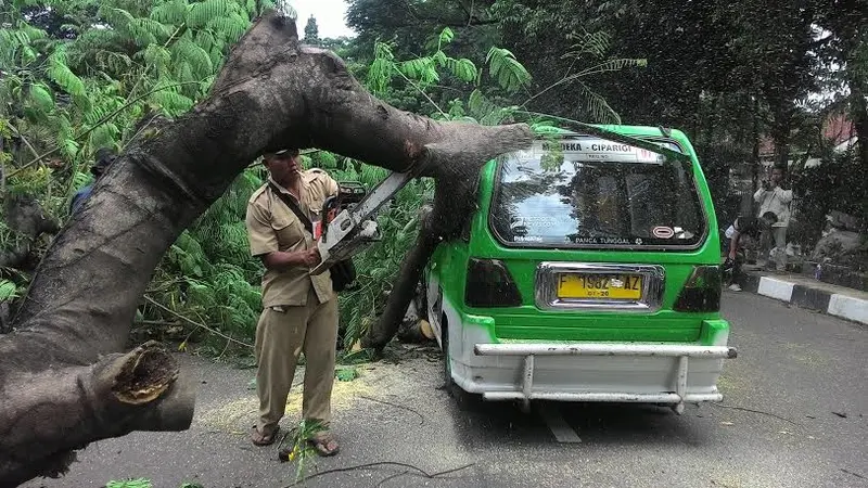 Pohon tumbang menimpa angkutan umum di Bogor, Jawa Barat.