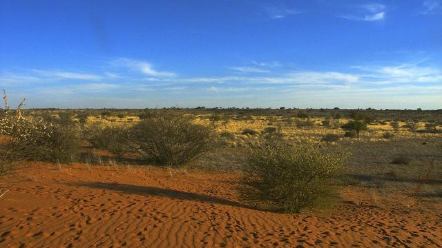 Gurun Kalahari