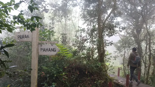 Rute di Gunung Irau di dalam hutan