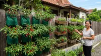 Cara Membuat Kebun Cabai Vertikal di Pagar Rumah, Solusi Hemat Lahan untuk Pemula