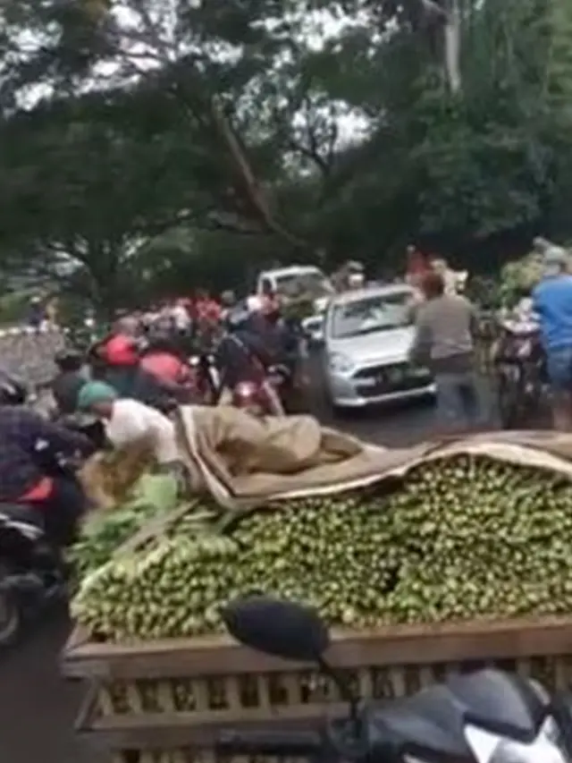 Hasil Penen Tak Laku Akibat Pandemi, Aksi Petani Bagi-bagi Sayuran Ini Viral