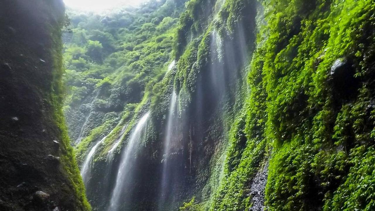 [Bintang] Jawa Timur