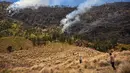 Petugas berupaya memadamkan kebakaran hutan di kawasan Taman Nasional Bromo Tengger Semeru (TNBTS), Kabupaten Probolinggo, Jawa Timur, Kamis (6/8/2026). (AFP/ Juni Kriswanto)